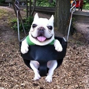 Meet your Posher, Ethan